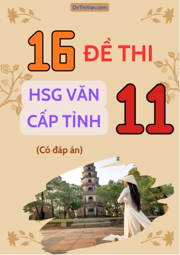 Bộ 16 Đề thi HSG Văn 11 cấp Tỉnh (Có đáp án)