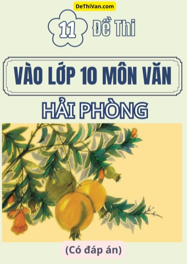 Bộ 11 Đề thi vào 10 môn Văn Hải Phòng (Có đáp án)