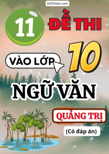 Bộ 11 Đề thi vào 10 môn Văn Quảng Trị (Có đáp án)